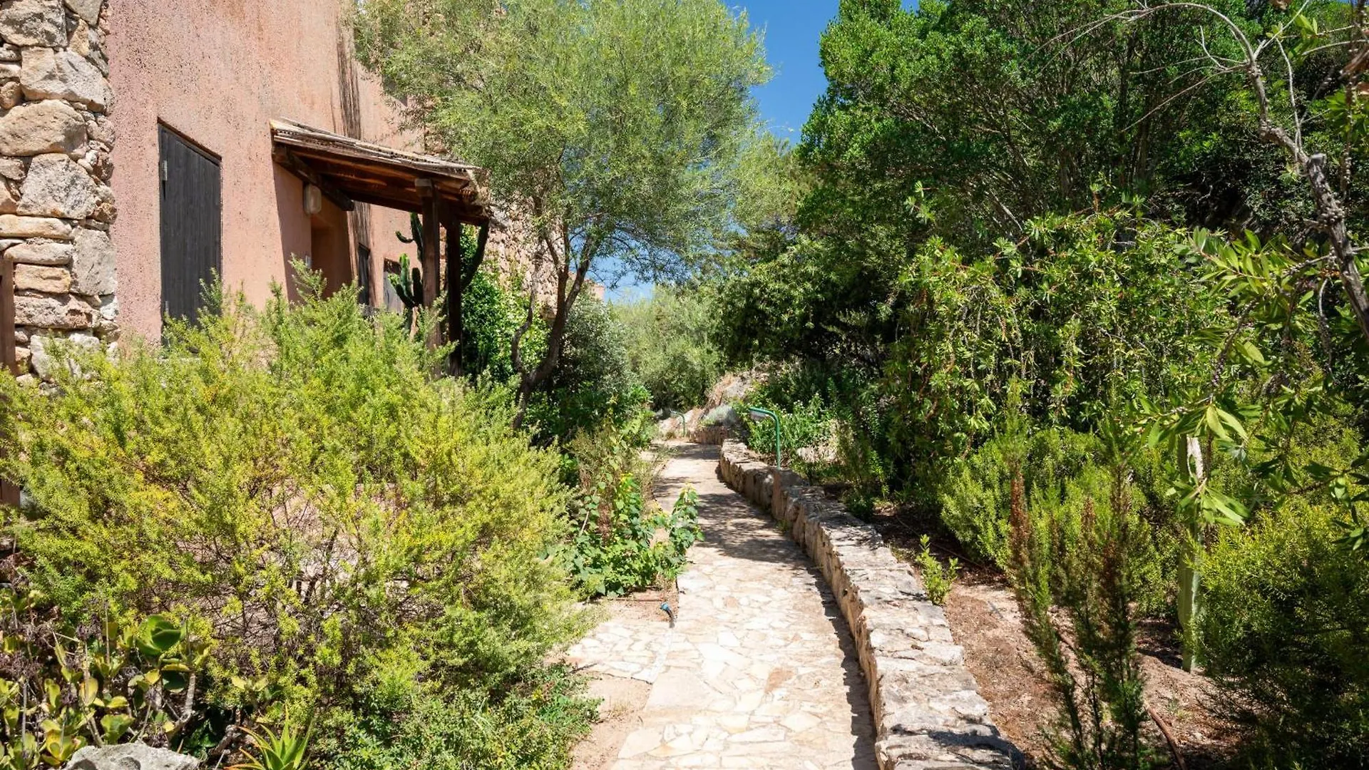 Caletta Nest 108 Apartment Porto Rotondo
