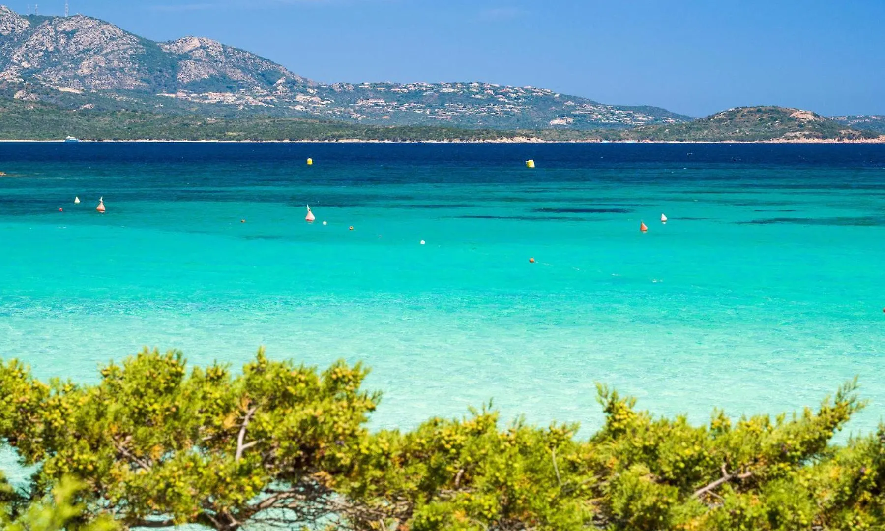 Caletta Nest 108 Apartment Porto Rotondo